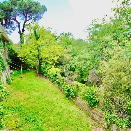 V&v Lloret- Roser Vidreres
